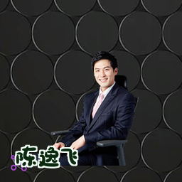 陈逸飞